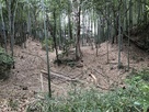 竹と空堀
