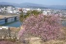 登城中の風景