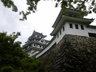 ５月の郡上八幡城…