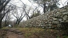 四つ門跡の石垣を登城道より見る…