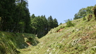 登城中の風景･･･。…