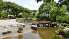 公園内風景(その2)…