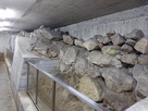 「福岡城跡堀石垣」展示室内の現存石垣…