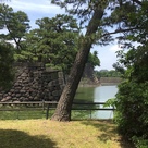 平川濠と本丸北面の石垣…