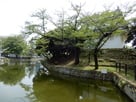 亀城公園外側より…