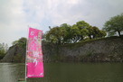 続日本百名城　八代城に登城…