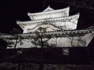 夜の丸亀城