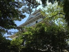 木々の間から見える長浜市長浜城歴史博物館…