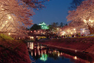 ライトアップされた岡崎城と夜桜…