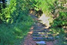 駅裏登山道　