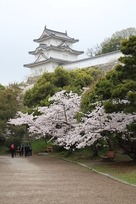 桜の坤櫓