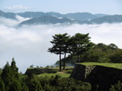 竹田城と雲海