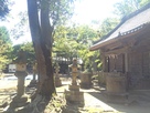 鹿島神社北側土塁から見た桜山方面…