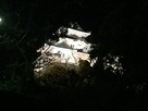 夜の和歌山城