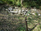 伝本丸北面の東側に残る石垣