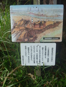 峯城想像図のイラストと注意看板