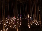 竹灯篭祭