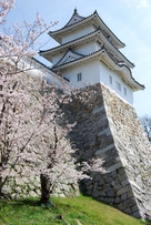 桜と巽櫓