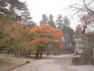 秋の会津若松城…