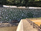 新旧の石垣
