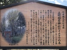 五明稲荷神社のイチョウの木の案内板…