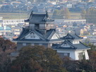 戌山城展望台より天守…