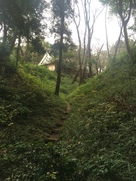 城山神社南側石段から二郭社務所を撮影…