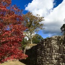 秋の苗木城