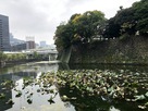 清水門の近く