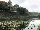 清水門の近く