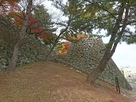 蜜柑丸からの東御門と月見櫓石垣…
