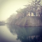朝霧の中の福井城…