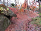 紅葉と残念石、淡路丸石垣
