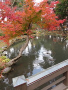 鶴ヶ池の紅葉