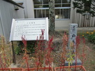 戸木小学校正門横の城址碑と案内板…