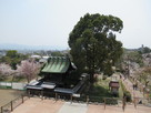 天守台から柳澤神社…