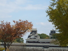 晩秋の熊本城