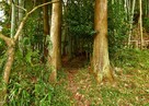 登城口（林光寺側）…