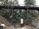 本丸への木橋(堀切から見上げる)
