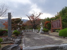 武田信義墓