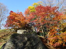 三段櫓石垣と紅葉