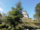 夏の高知城。朝なのにクラクラ。…