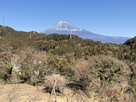 本丸跡からの富士山…