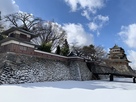 冬の高島城