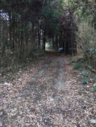 城内の林道