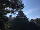 宇土櫓と復興中の天守(加藤神社より)…