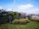 城址碑(桜の季節)