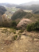 南曲輪から見下ろす景色と桜…