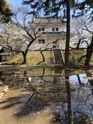 水たまりに映る東櫓と桜