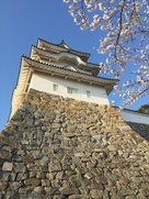 桜と坤櫓